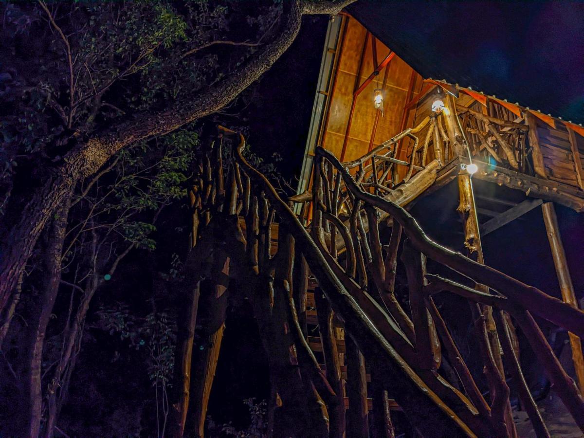 Wooden Cabana Sigiriya Exteriér fotografie