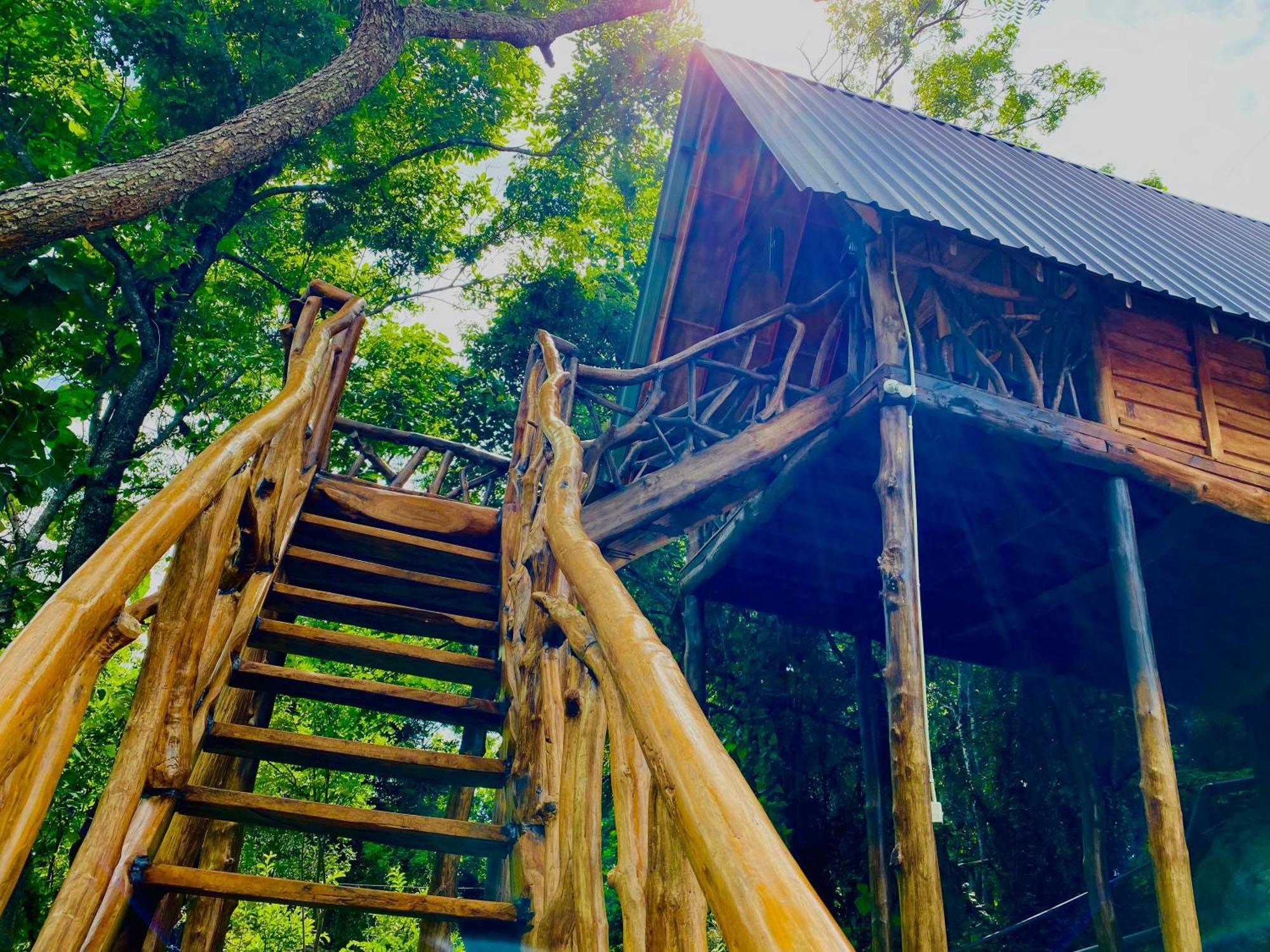 Wooden Cabana Sigiriya Exteriér fotografie